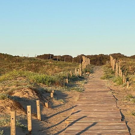 Emilia De La Playa Lägenhet La Mata  Exteriör bild