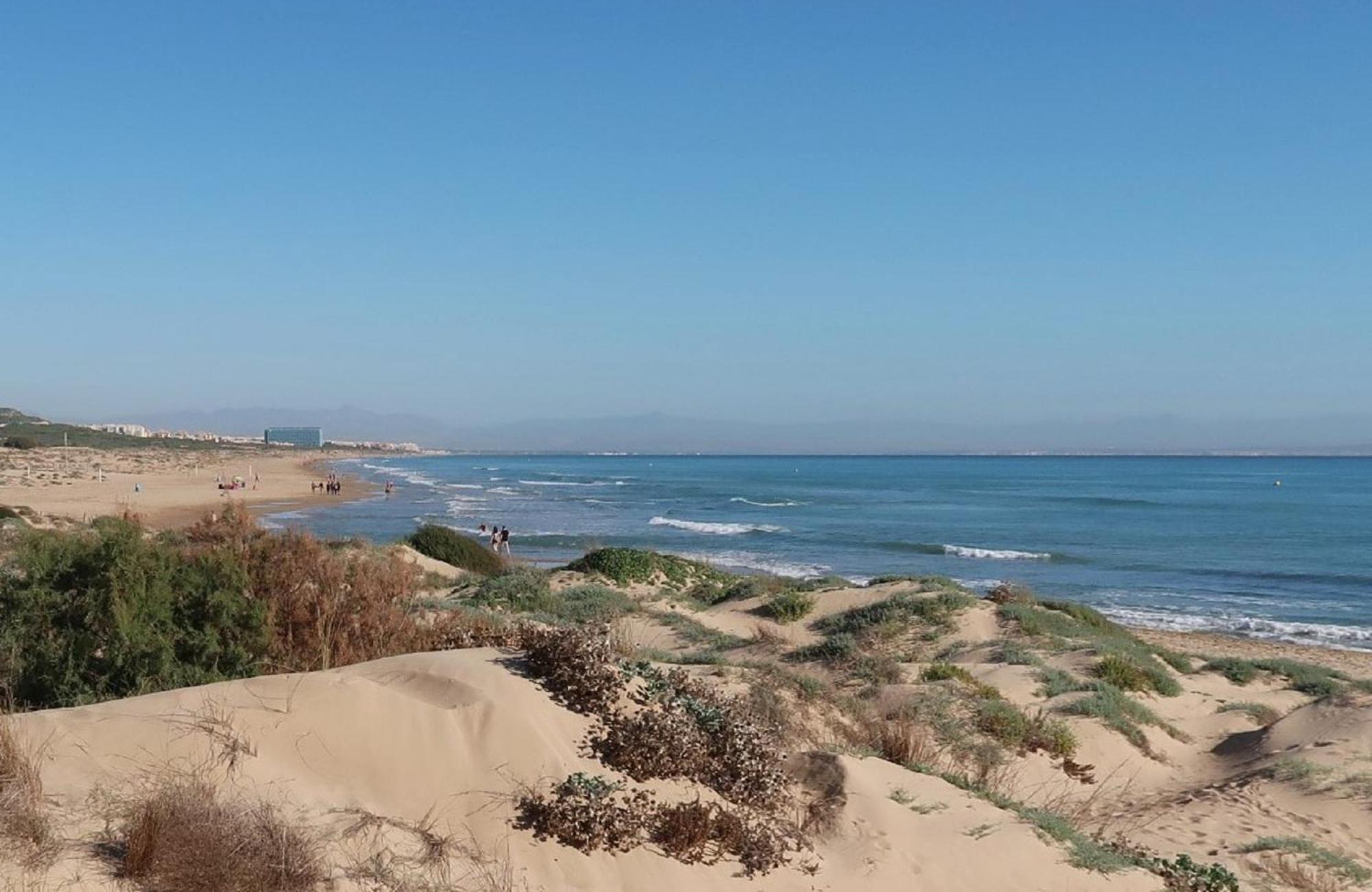 Emilia De La Playa Lägenhet La Mata  Exteriör bild